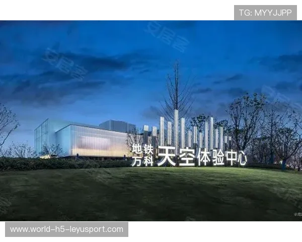 未来前景广阔备受期待